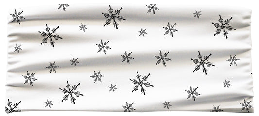 Bandeau large 4 saisons - NEIGE